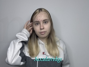 Accadavidge