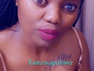 Easterncapeflower