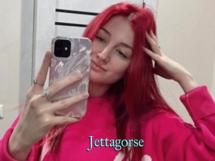 Jettagorse