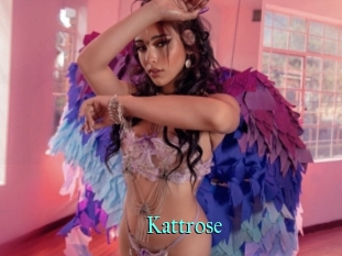 Kattrose