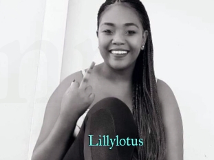 Lillylotus