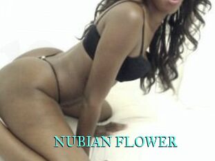 NUBIAN_FLOWER