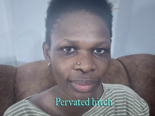 Pervated_bitch