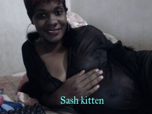 Sash_kitten