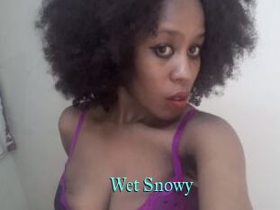 Wet_Snowy