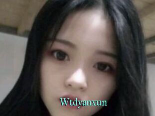 Wtdyanxun